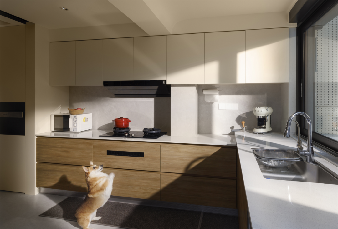 汪星人科科和臭臭的亲密无间家园丨中国重庆丨重庆微观室内设计有限公司-25