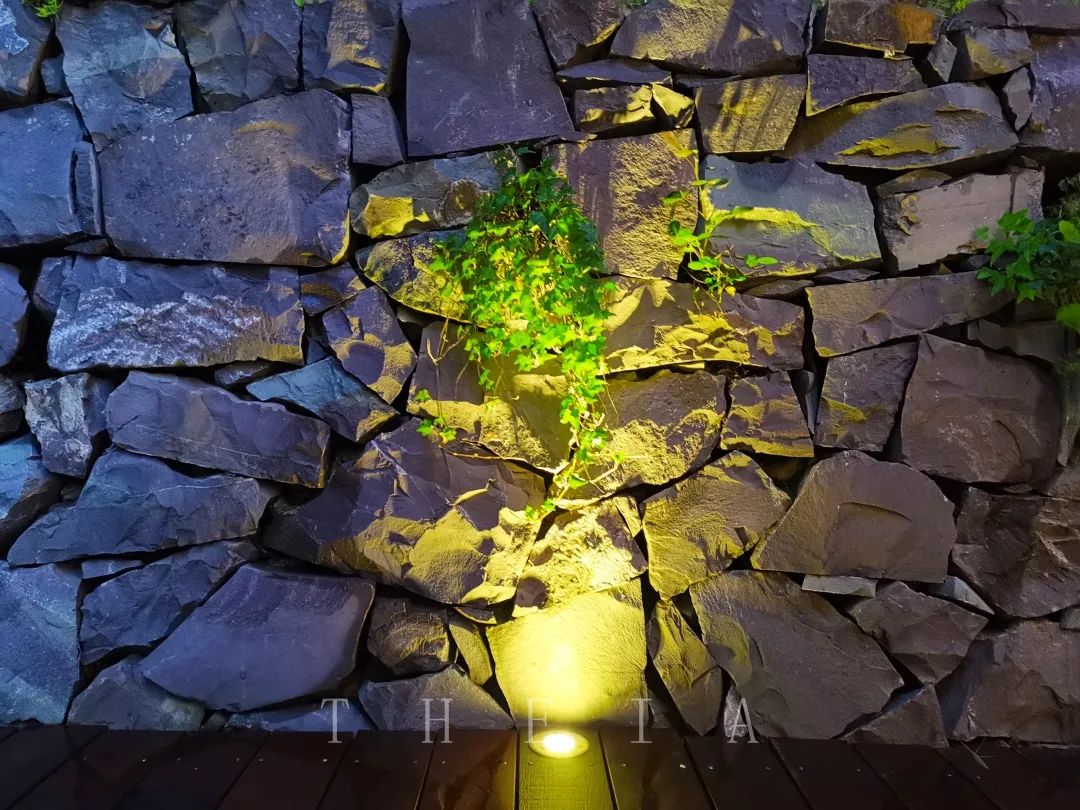 迪赛·东篱 | 闲田信步，采菊东篱-83