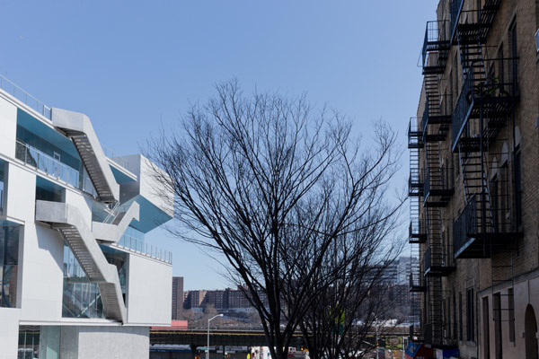 纽约Campbell体育中心丨美国曼哈顿丨Steven Holl Architects-16