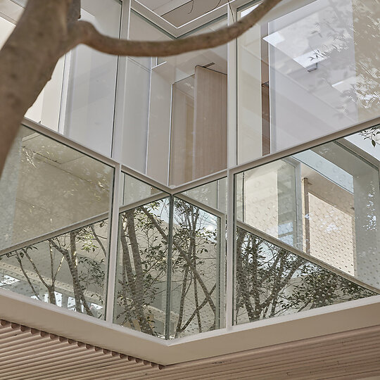 Campbell House by Tonkin Zulaikha Greer | Australian Interior Design Awards-5