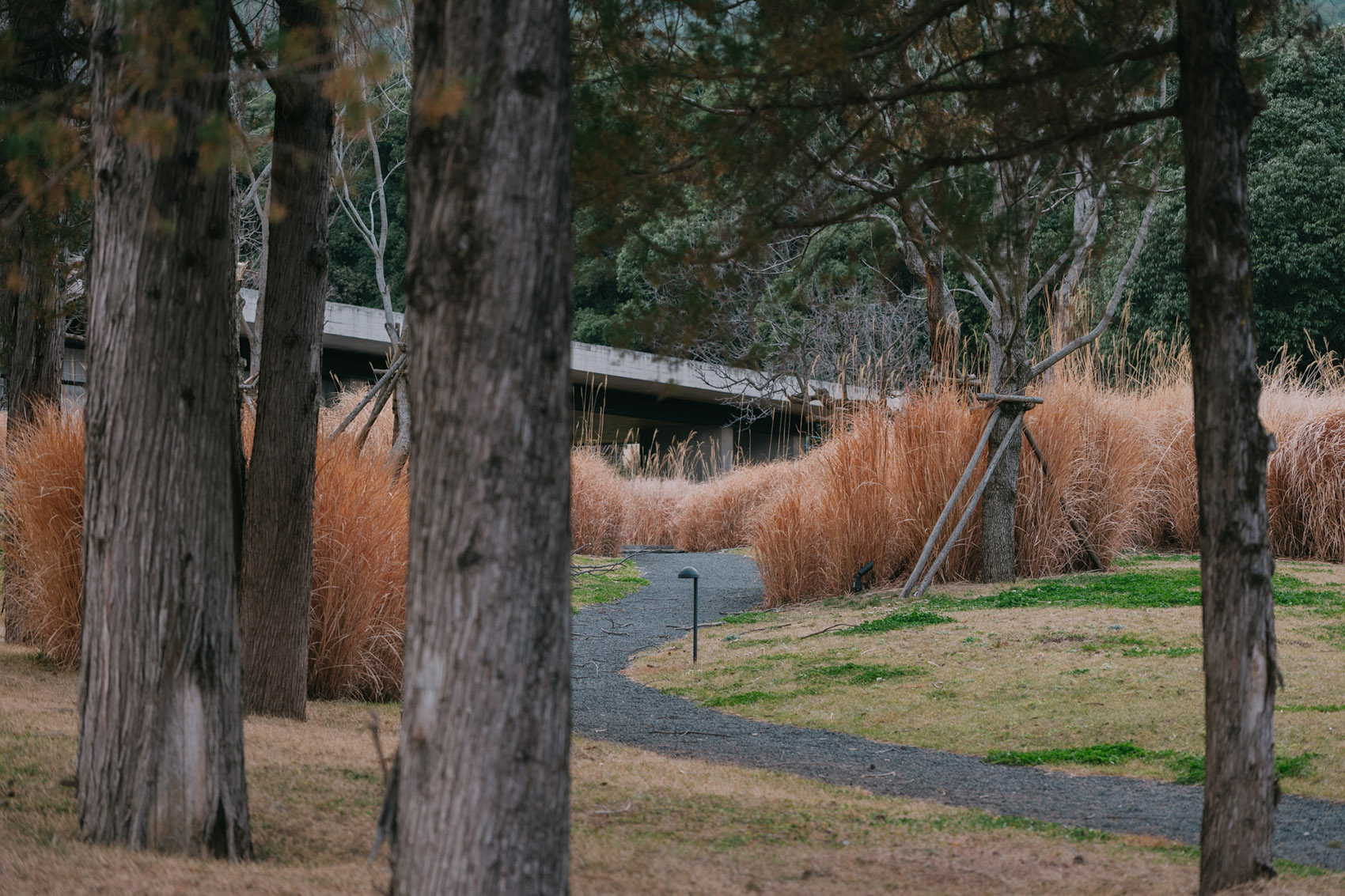 HYLLA WULU乌鲁花园丨中国丽江丨Z’scape致舍景观-90