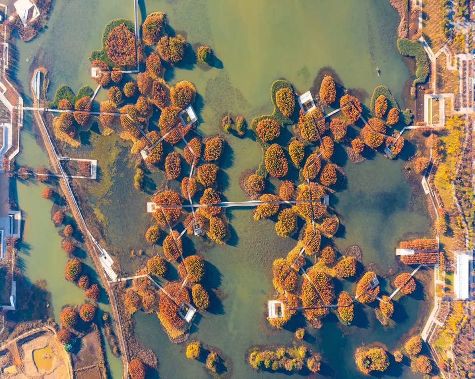 漂浮的森林:南昌市鱼尾洲公园丨中国南昌丨土人设计-33