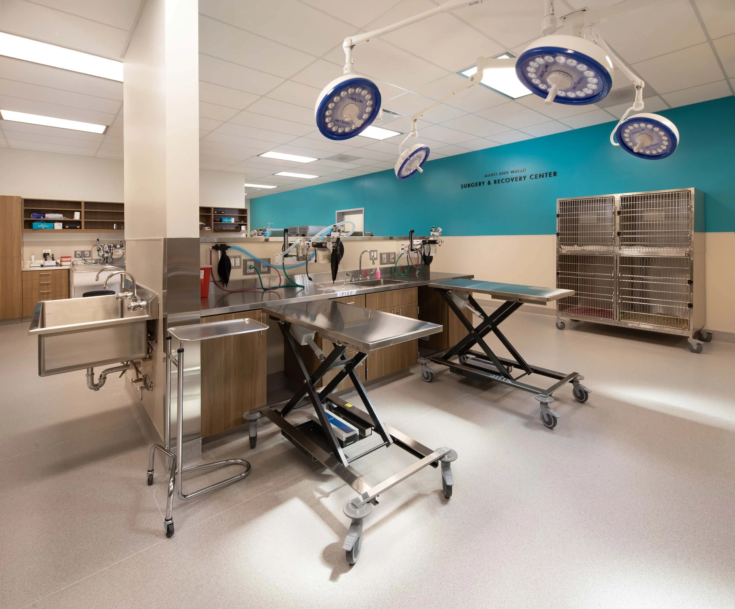 俄勒冈人道协会丨美国波特兰丨Scott Edwards Architecture-16