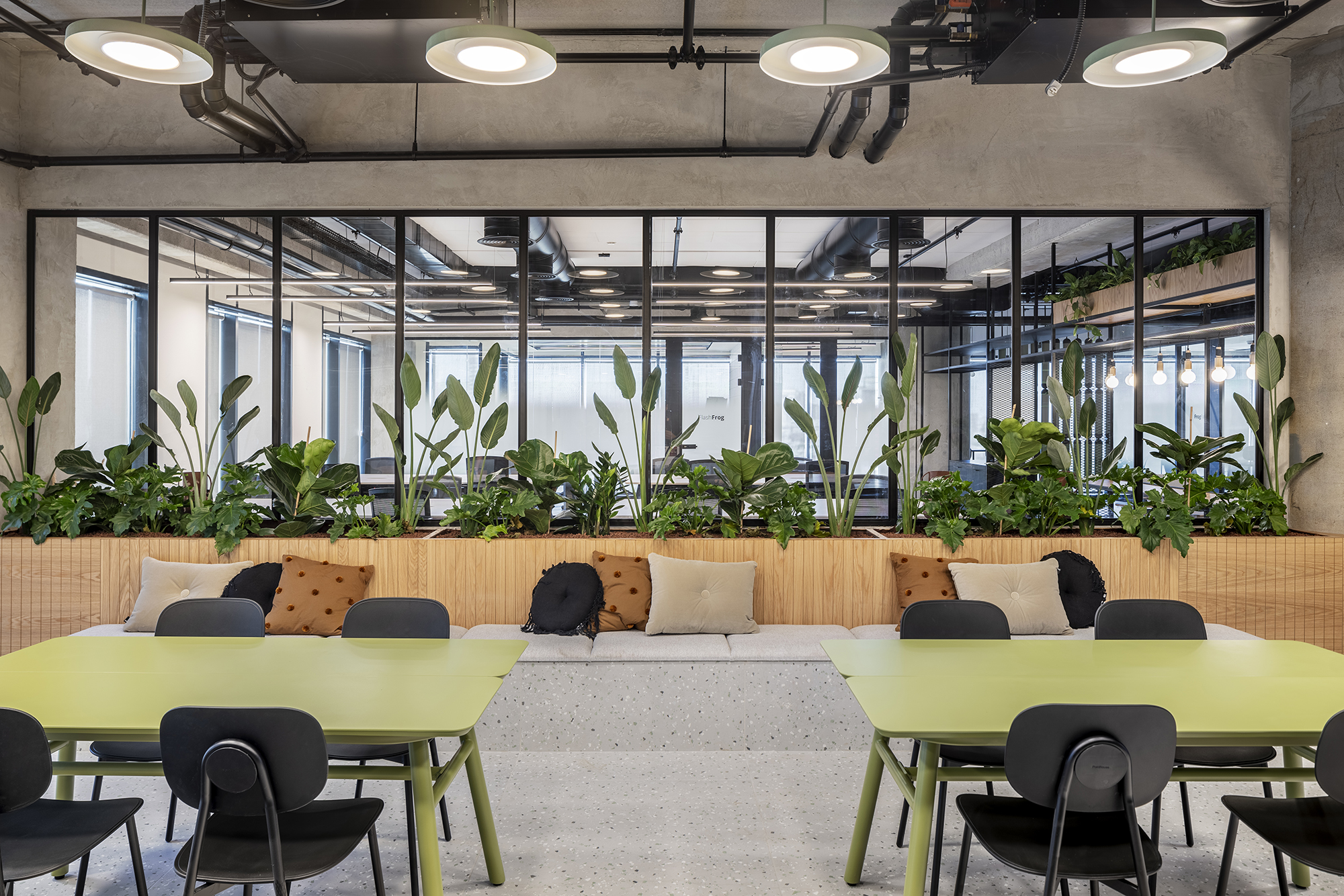 JFrog 办公室丨Switchup-22