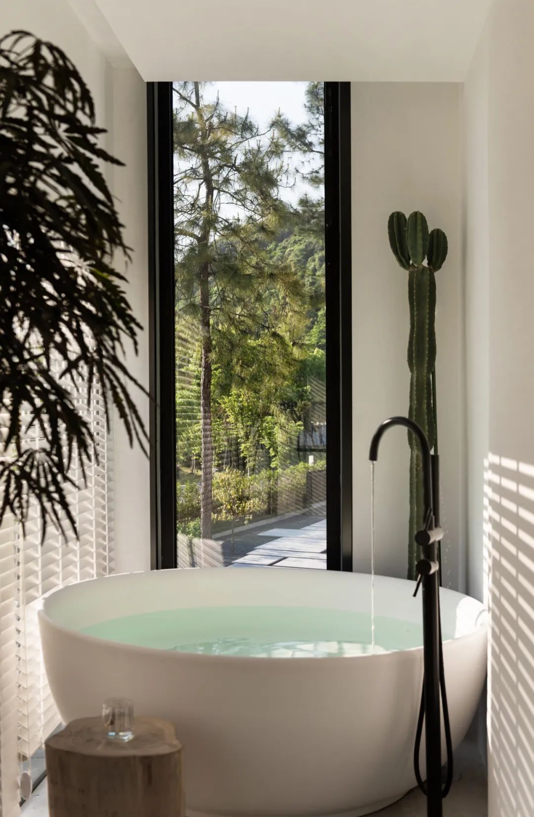 莫干山秘境杉林,尽享自然之美-110