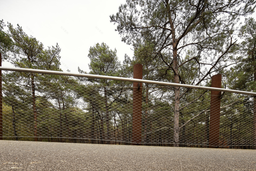 在树林中骑行丨Visit Limburg-11