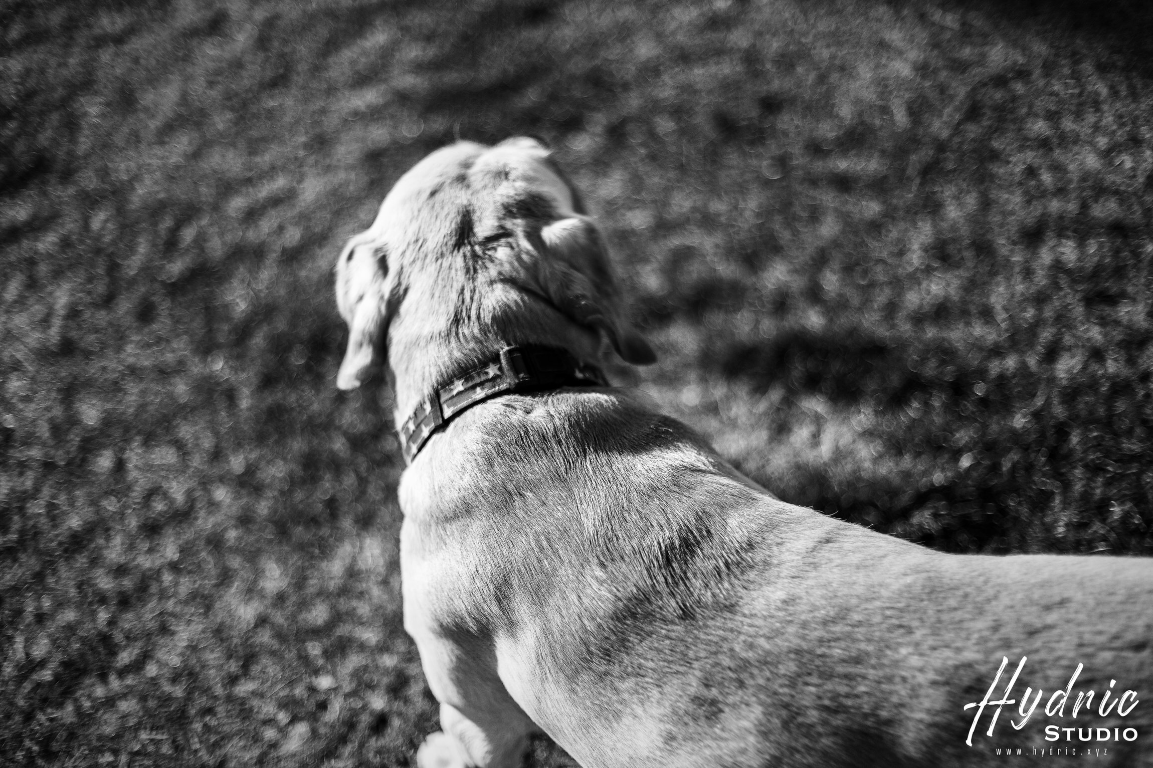 徐汇滨江 XUHUI RIVERSIDE PART I-6