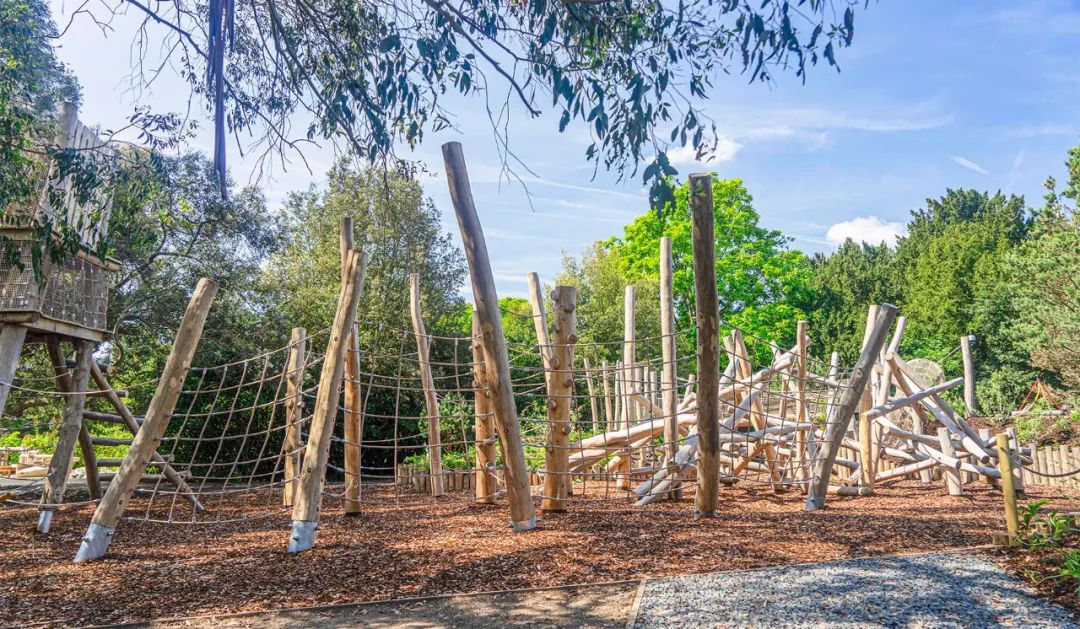 英国皇家植物园儿童花园丨Suzie Jewell-54