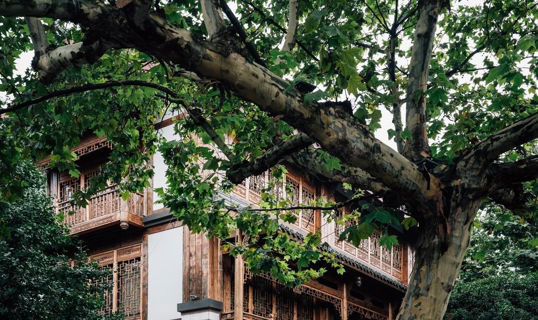 民谣里野奢帐篷酒店-2