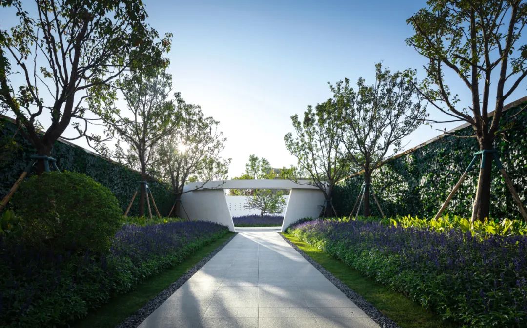 “星星摘回来啦！” | 华宇 · 锦绣云赋花园-30