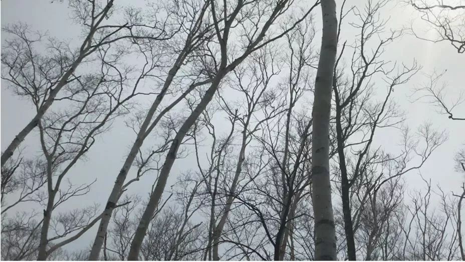 原研哉独家推荐!12 个日本隐秘温泉旅馆设计亮点-52