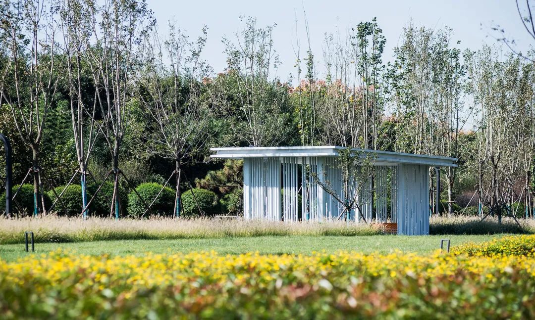 枣庄科创绿廊(一期)丨中国枣庄丨同圆设计集团股份有限公司——景观设计研究院-39