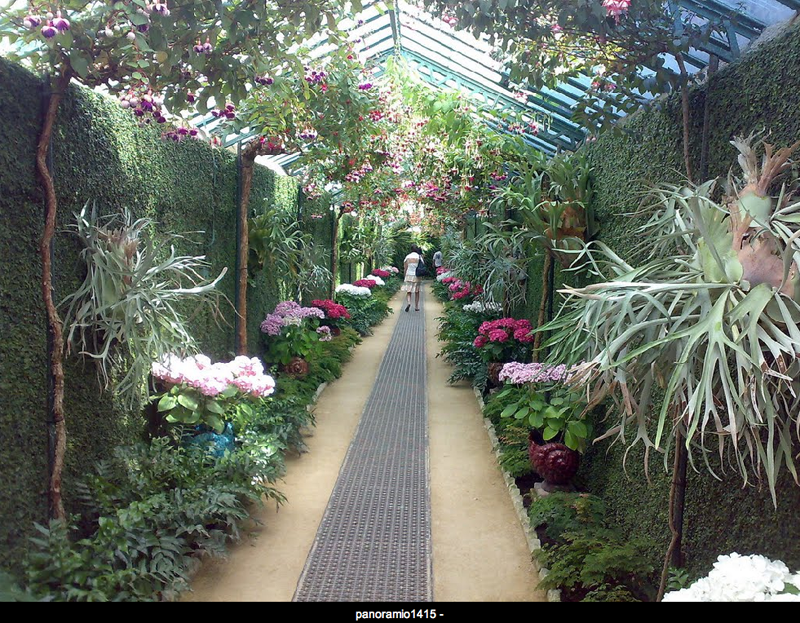 Magiche serre reali di Laeken (Bruxelles) | theouterthebetter-37