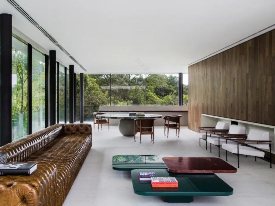 巴西现代的美学住宅-3