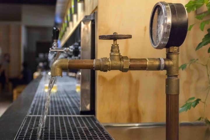 自由犬酒吧间-16