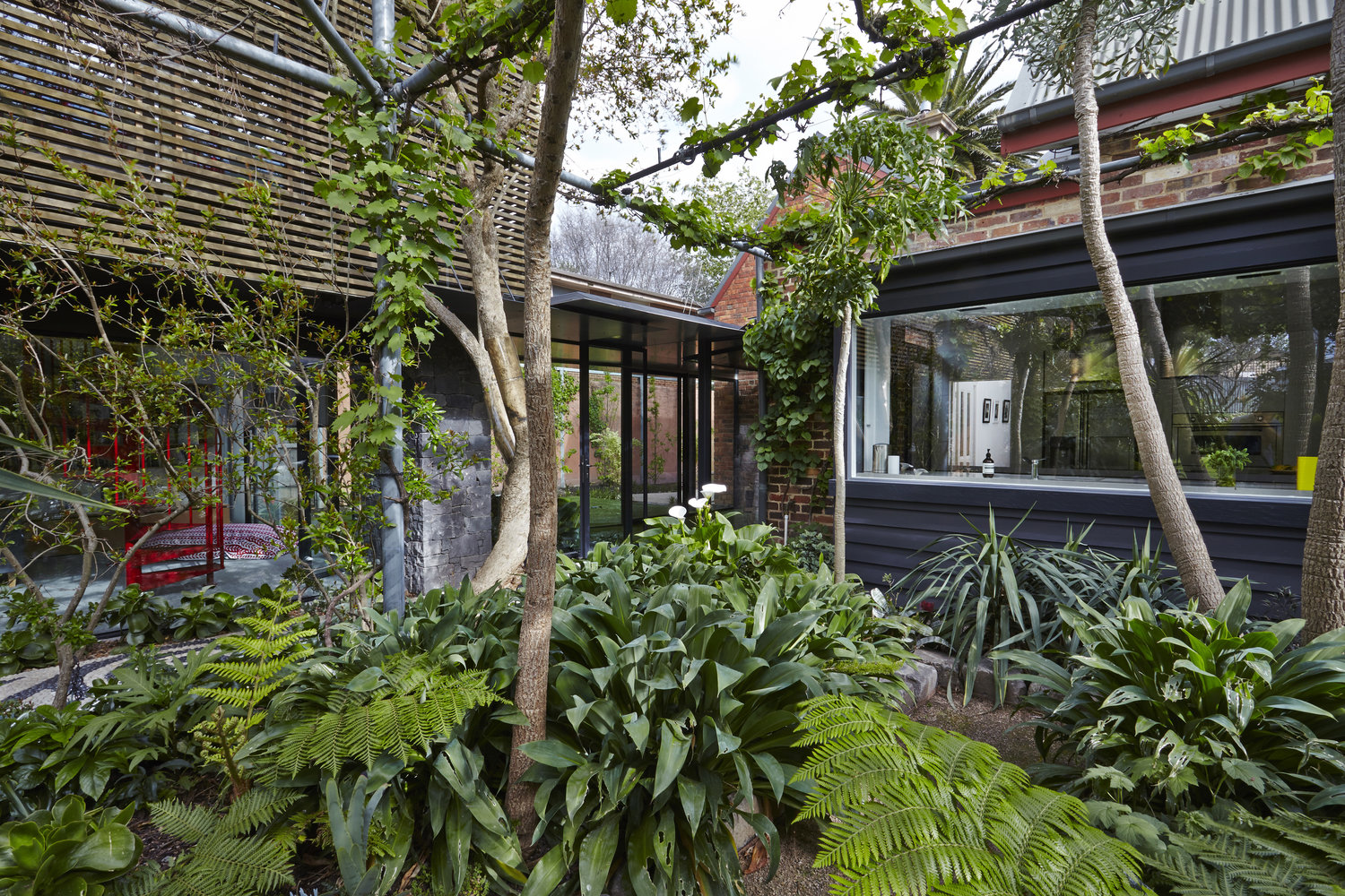 Walker House Austin Maynard Architects-20