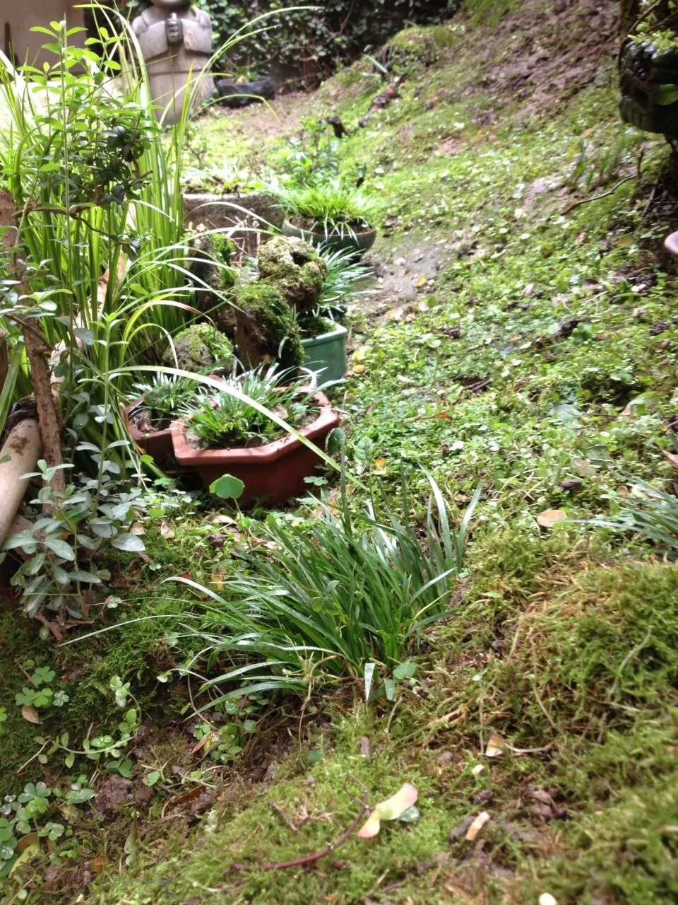 院落生活 | 诗与远方的完美结合-36