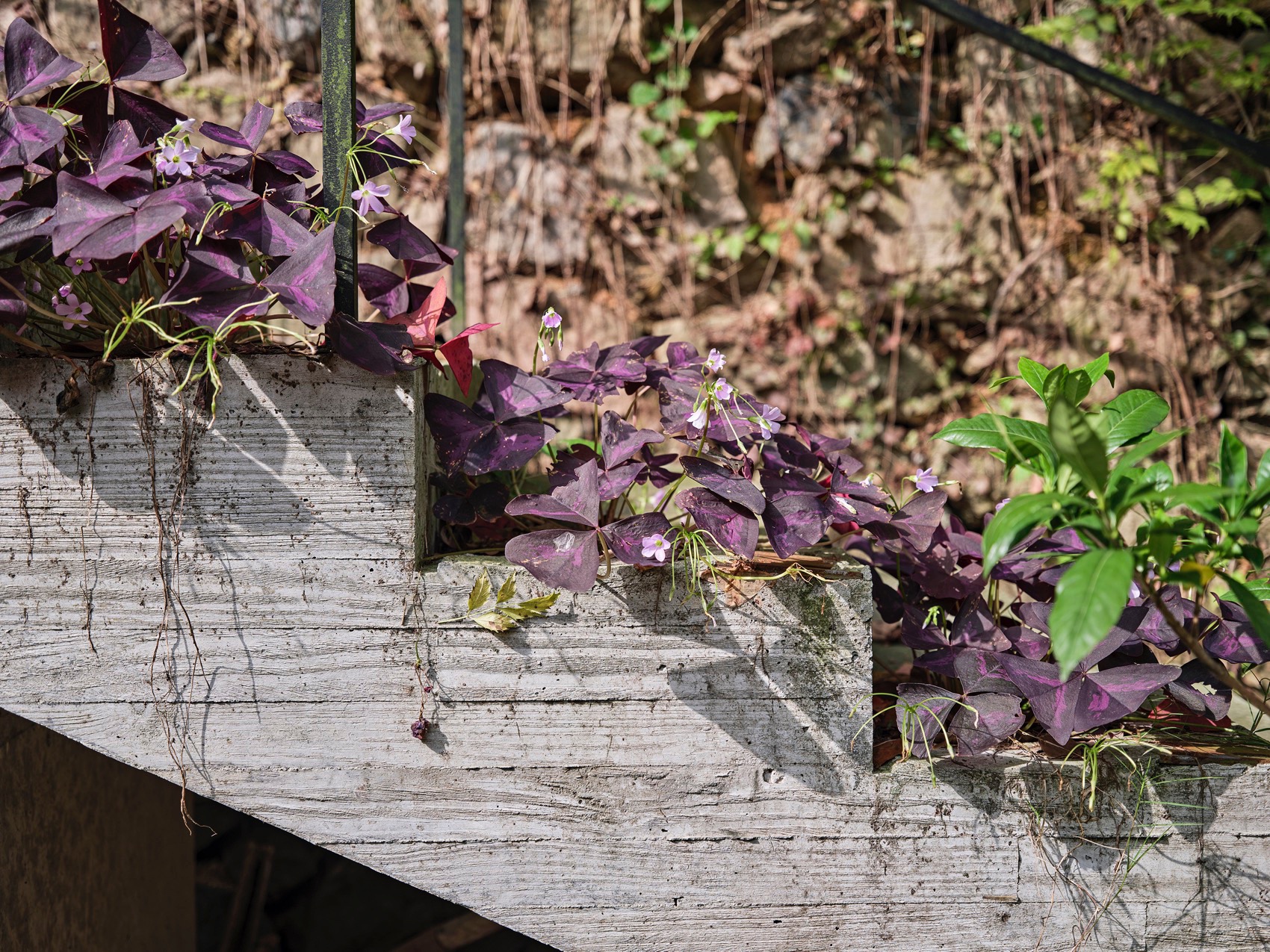 散轩书屋丨中国宁波丨上海善祥建筑设计有限公司-68