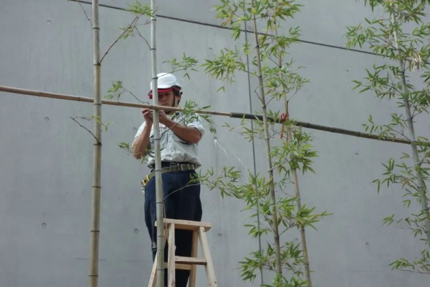 日本造园大师枡野俊明与植藤造园的东方美学-39