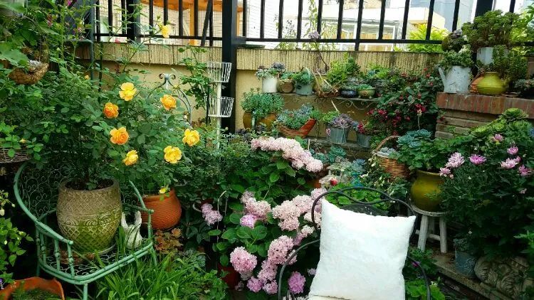 拥有一个这样的小院，人生足矣！-26