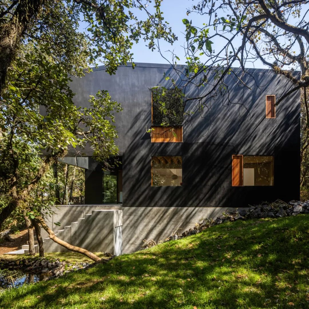 自然灵感,建筑生命——PPAA 的开放设计理念-17