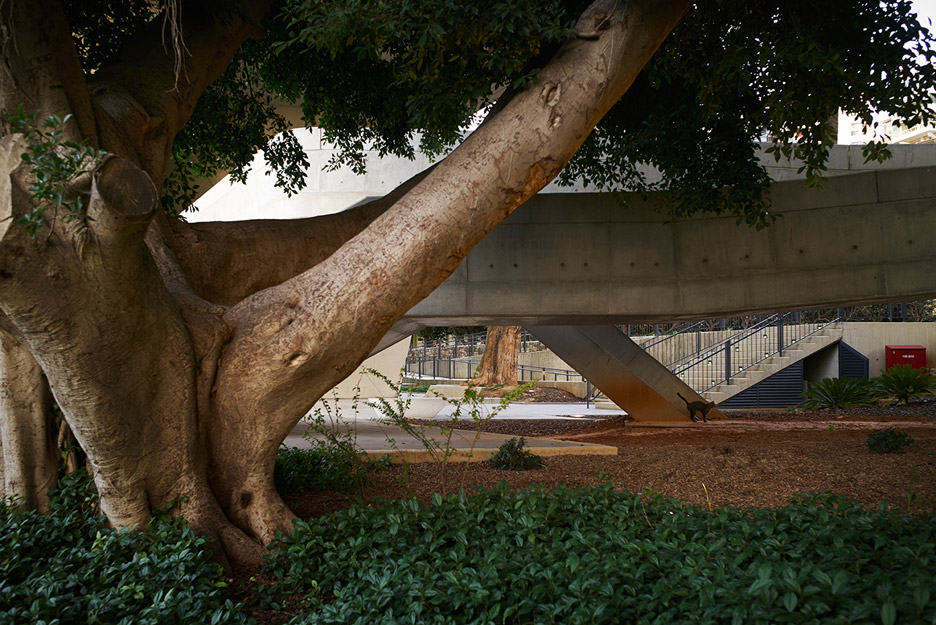 伊萨姆·法里斯研究所-15