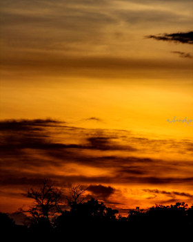 Sky_Clicks