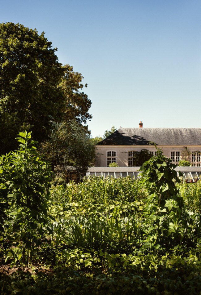 皇家凡尔赛宫室内设计揭秘-14