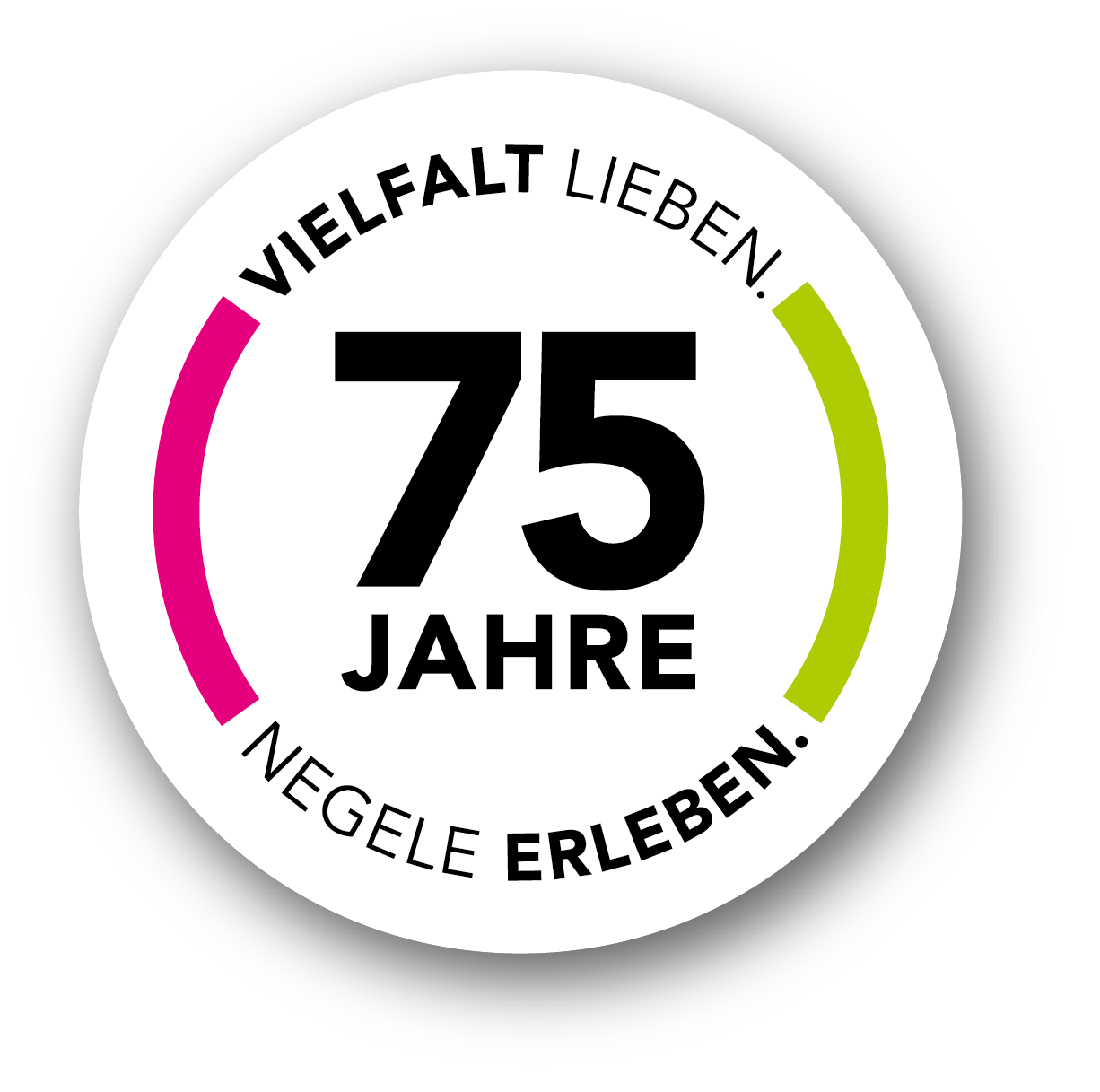 斜屋顶下的厨房安装项目-0