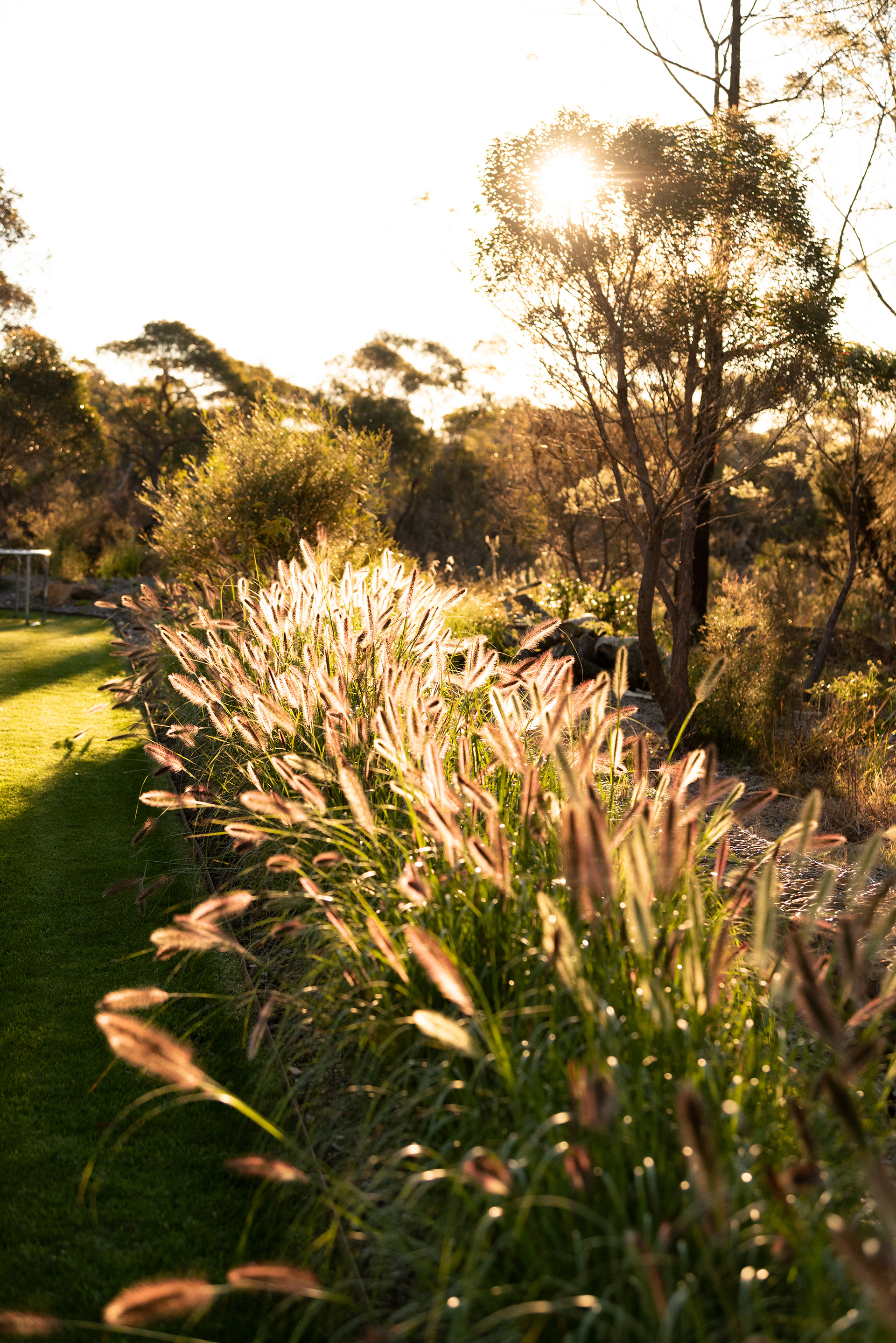蓝山当代景观设计-25