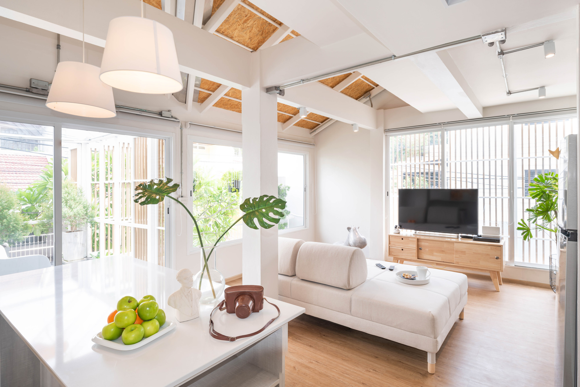 曼谷双宅别墅,灵活空间与自然融合-5