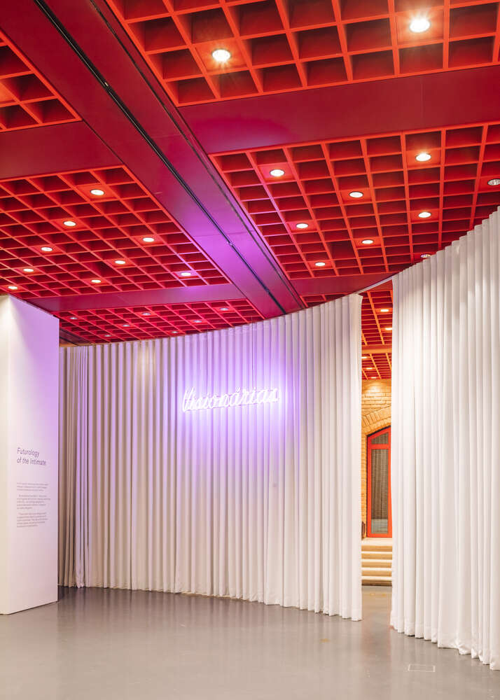 屏幕；银幕；隔板；纱窗（需结合具体语境判断最准确释义，这里按常见释义列举）

如果是在电子产品相关语境，屏幕更合适；在电影相关语境，银幕更合适；在建筑或家居相关语境，隔板纱窗可能更合适若能提供更具体语境，我将给出更精准唯一的翻译 丨葡萄牙里斯本丨BUREAU（Daniel Zamarbide等）-22