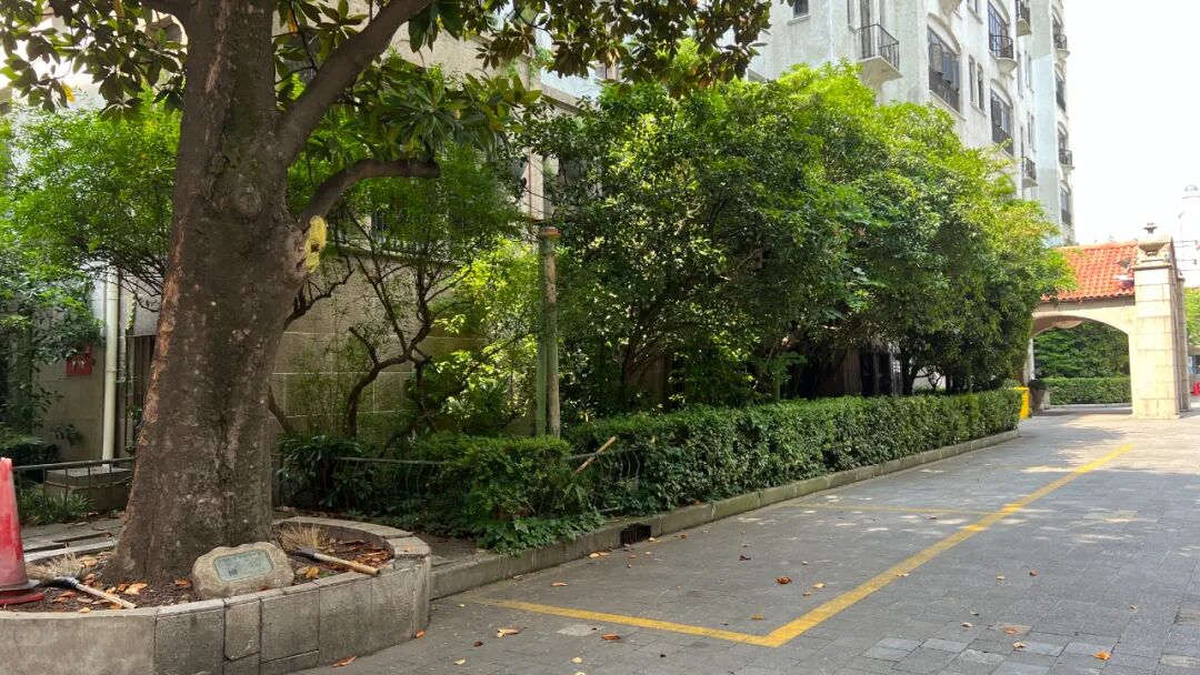 百年名园重生：静安宾馆历史花园保护性改造-58