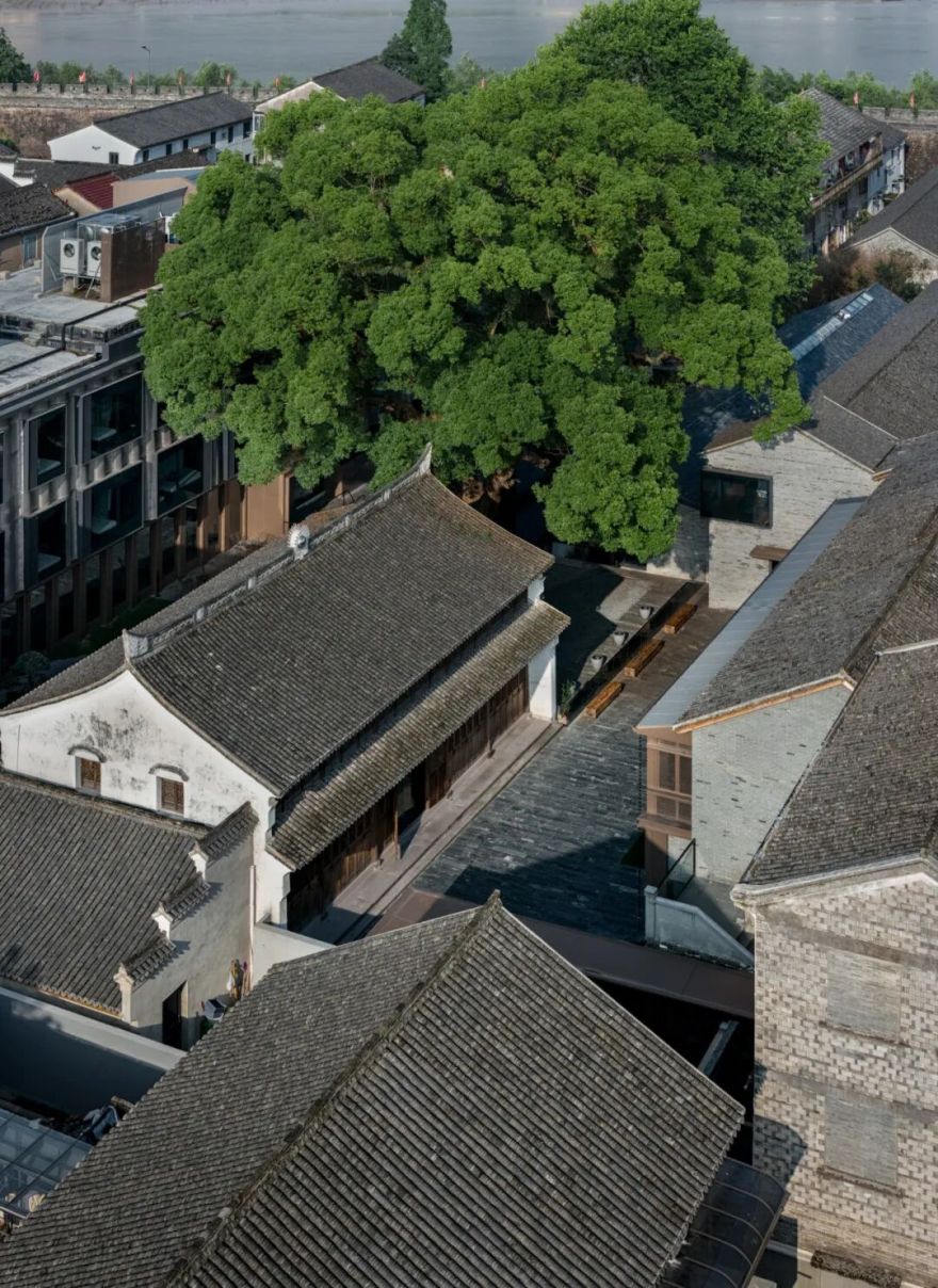 墨香印迹 · 府城印精品酒店丨中国台州丨零壹城市建筑事务所-3