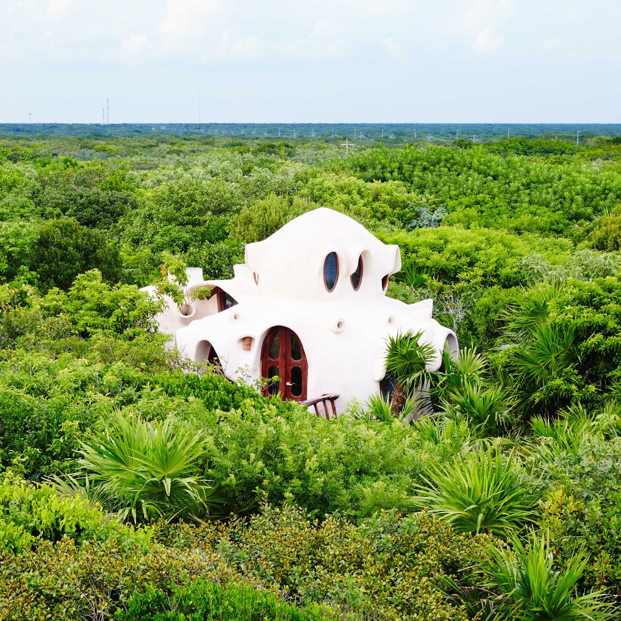 Treehouse hotel room peeps above canopy of Mexico's tropical woodland-0