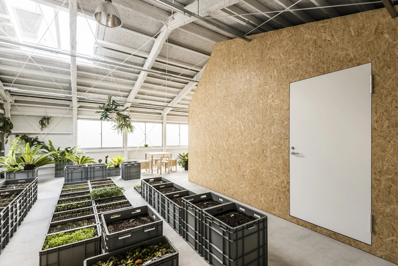 东京艺术家工作室，旧厂房的创意新生-41