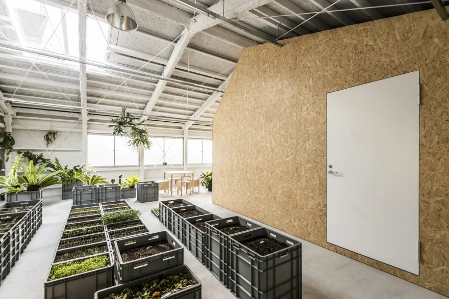 东京艺术家工作室,旧厂房的创意新生-41