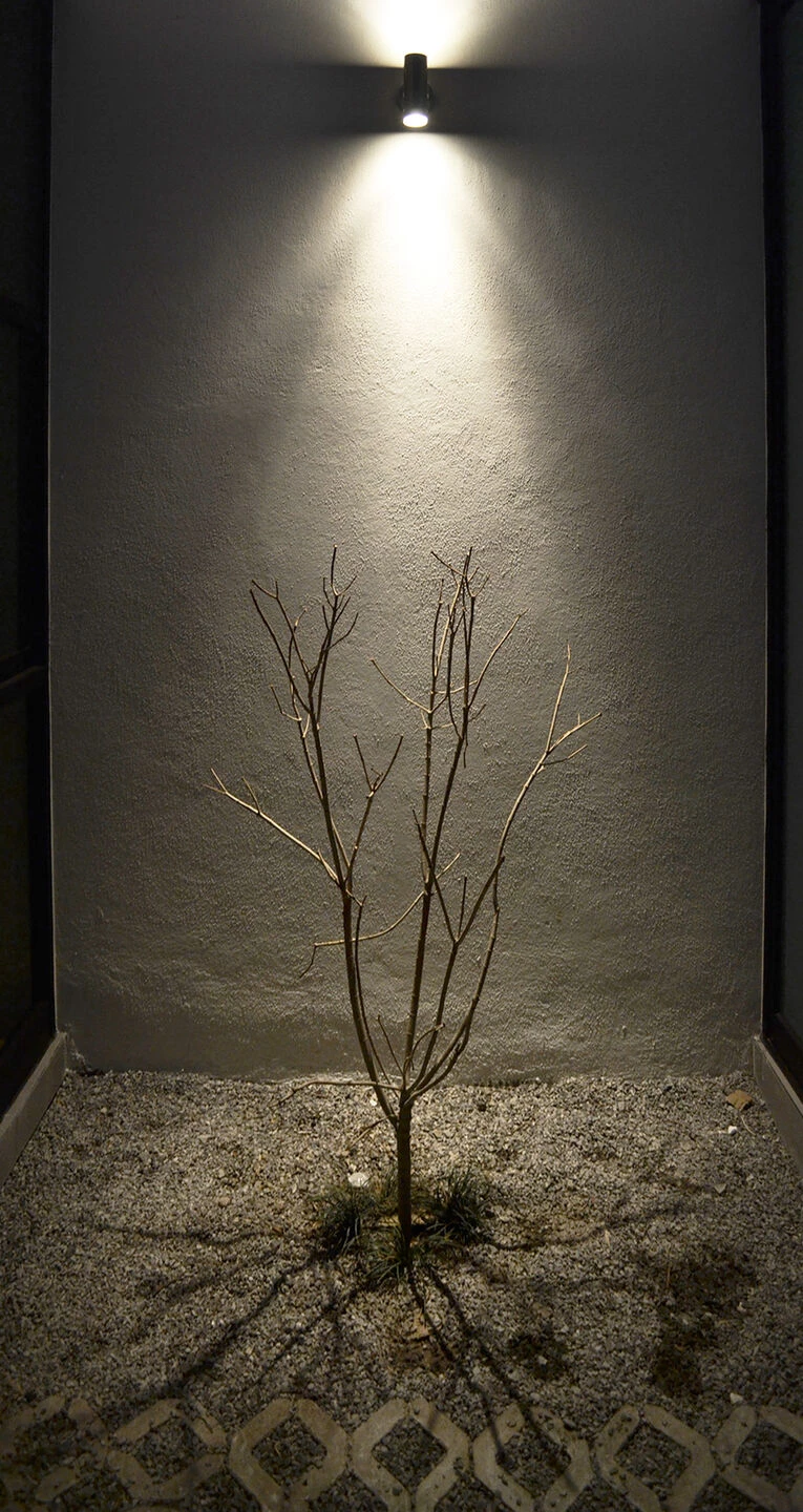 墨西哥 León 年轻夫妇的实用家居-16