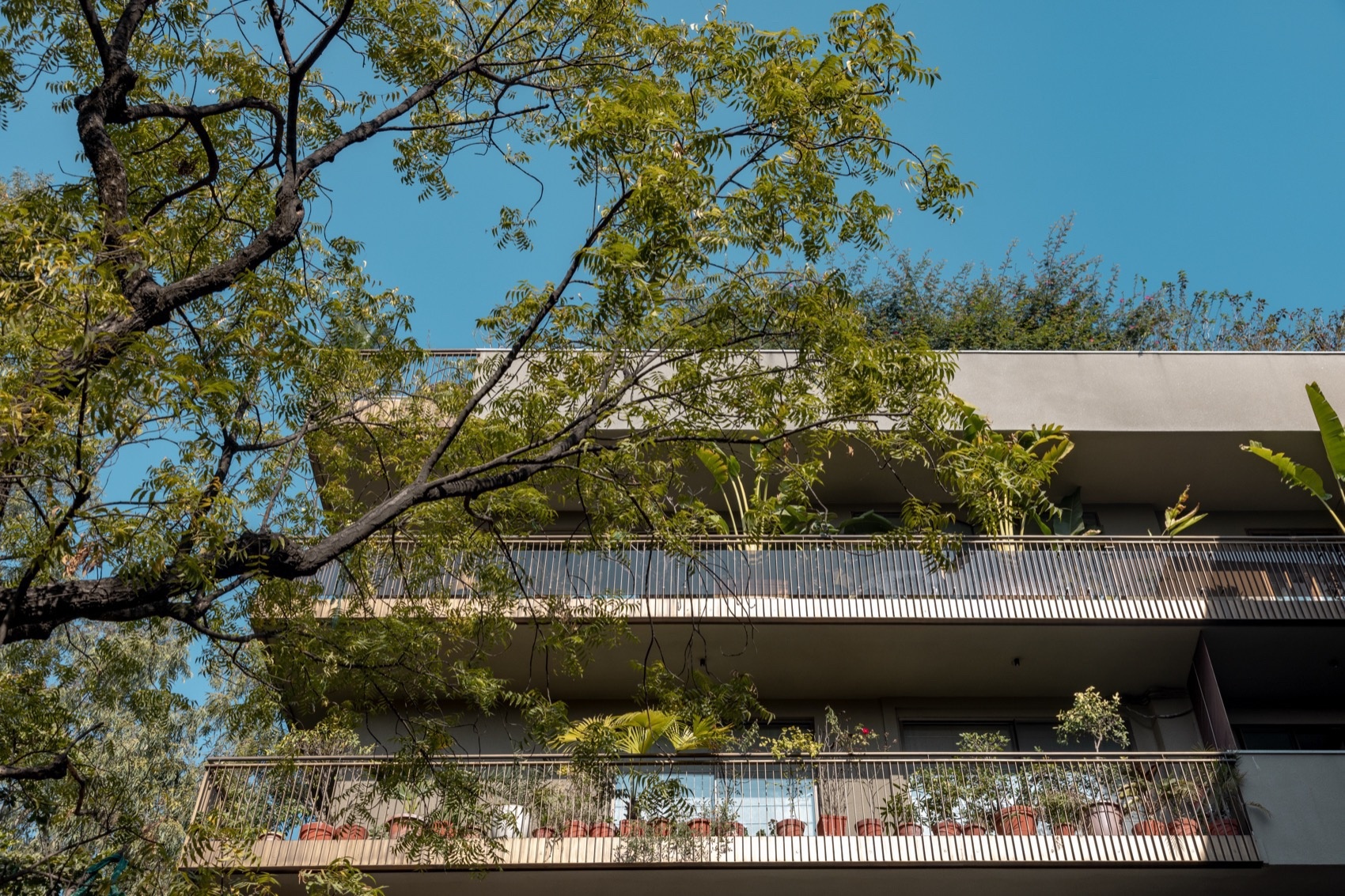 印度A45公寓丨印度新德里丨Architecture Discipline-2