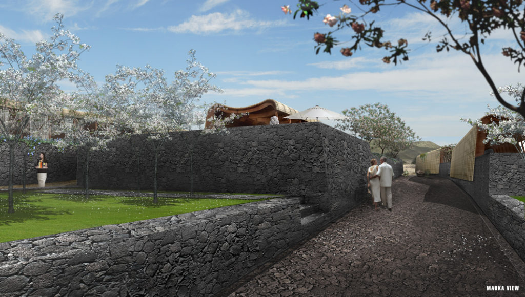 丨美国夏威夷-8