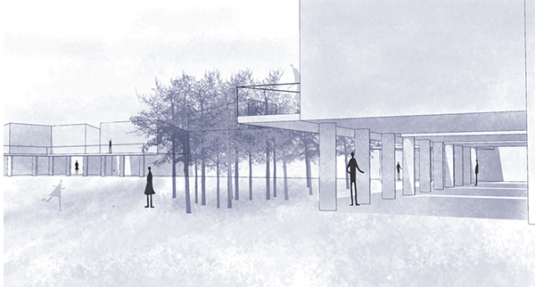 大花园马格达莱纳实验室-16