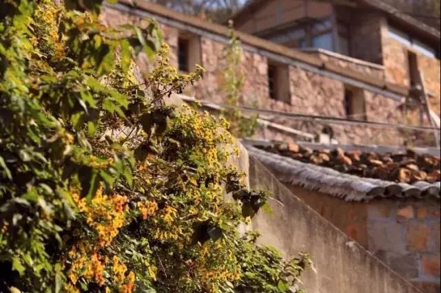 70后设计师大叔,爆改海岛渔村,惊艳朋友圈-48