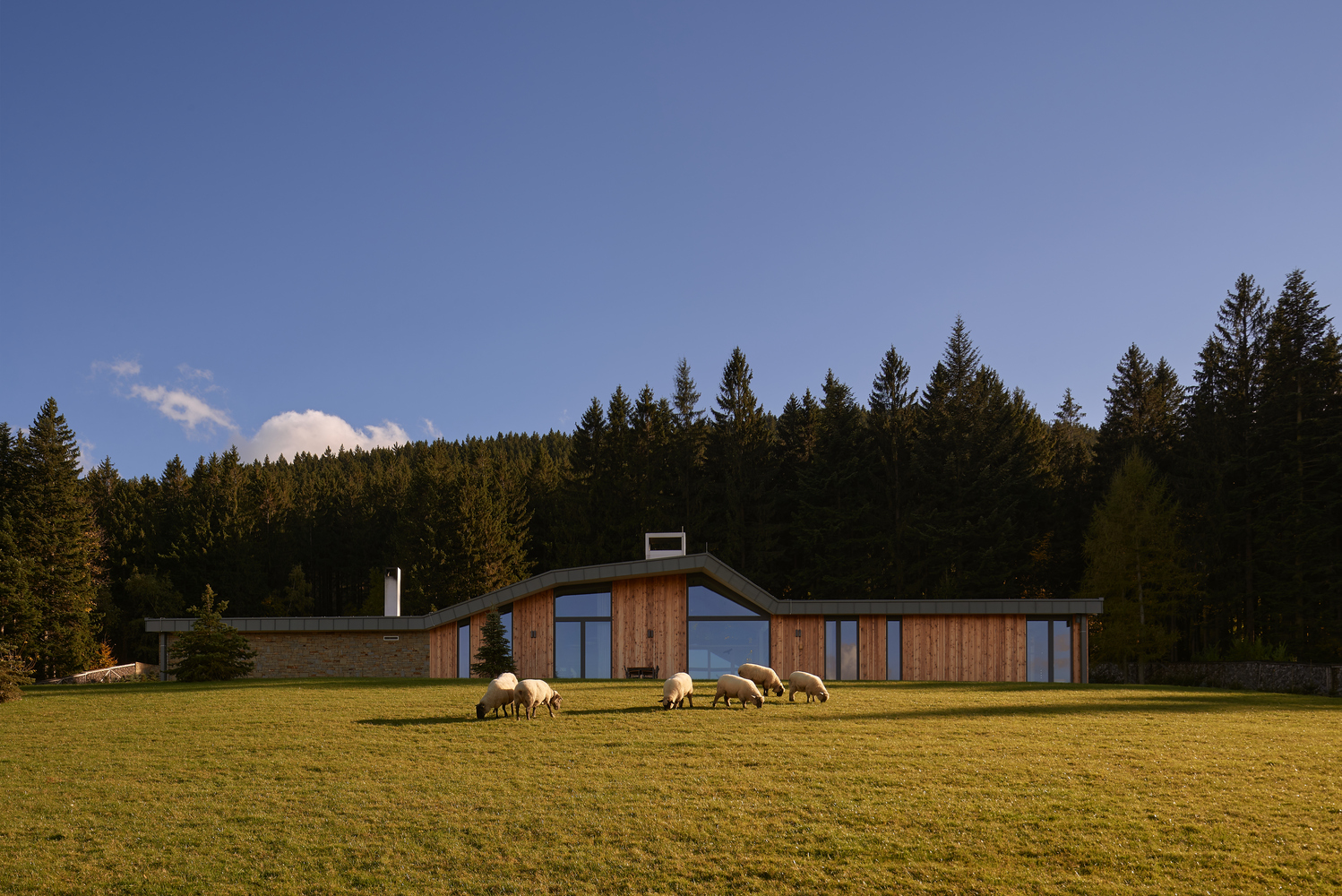 融合自然与现代的木石别墅丨捷克丨WMA architects-40