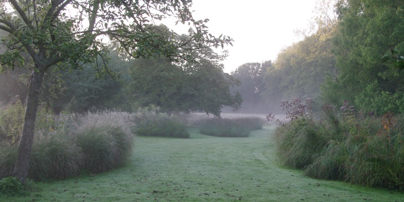 Grassentuin（草坪花园）等相关花园项目丨Chris Ghyselen（景观建筑师）-1