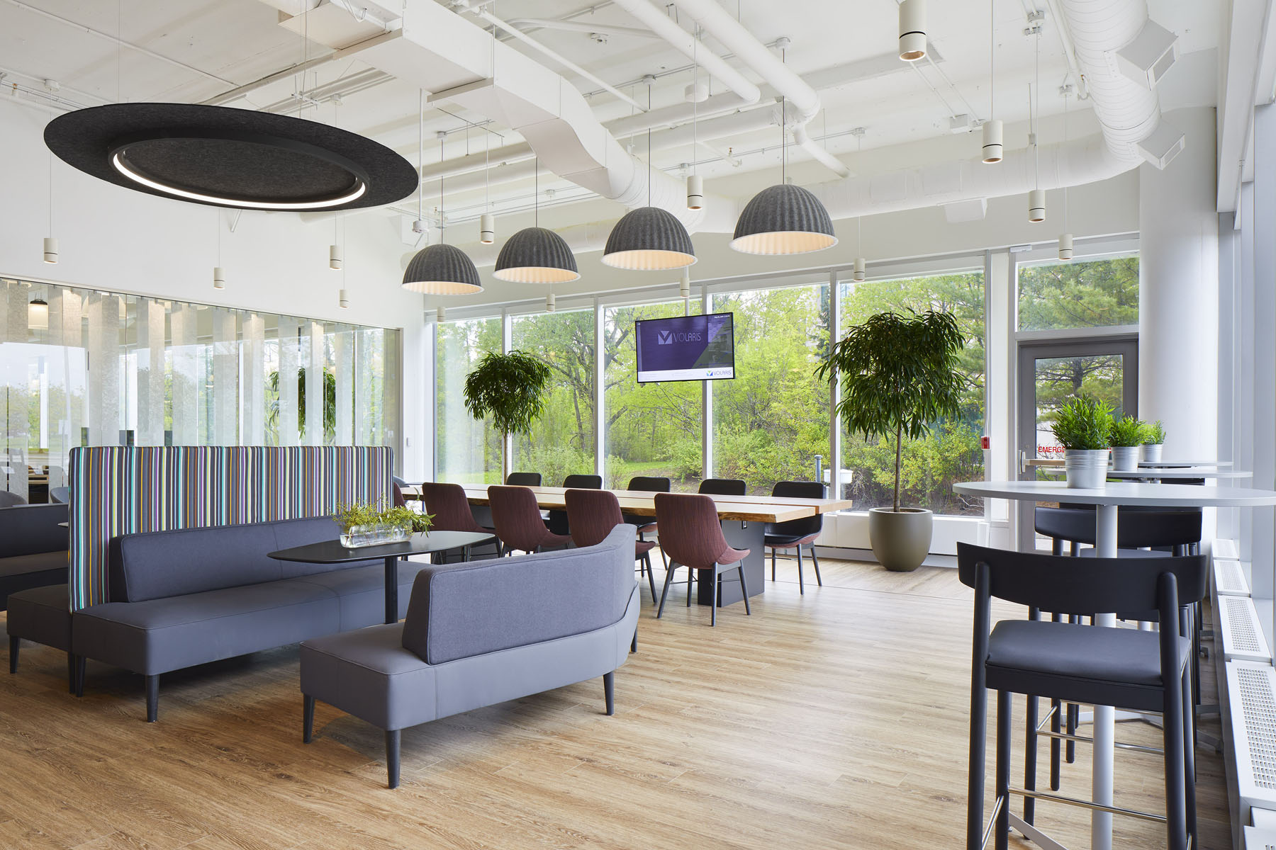 多伦多 Volaris 总部办公空间设计丨加拿大多伦多丨Bartlett & Associates-16