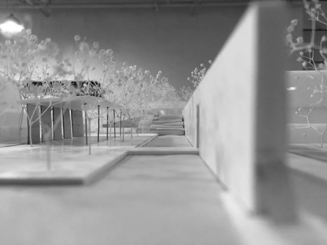 《雁归来》 | 水乡文化的现代解读-142