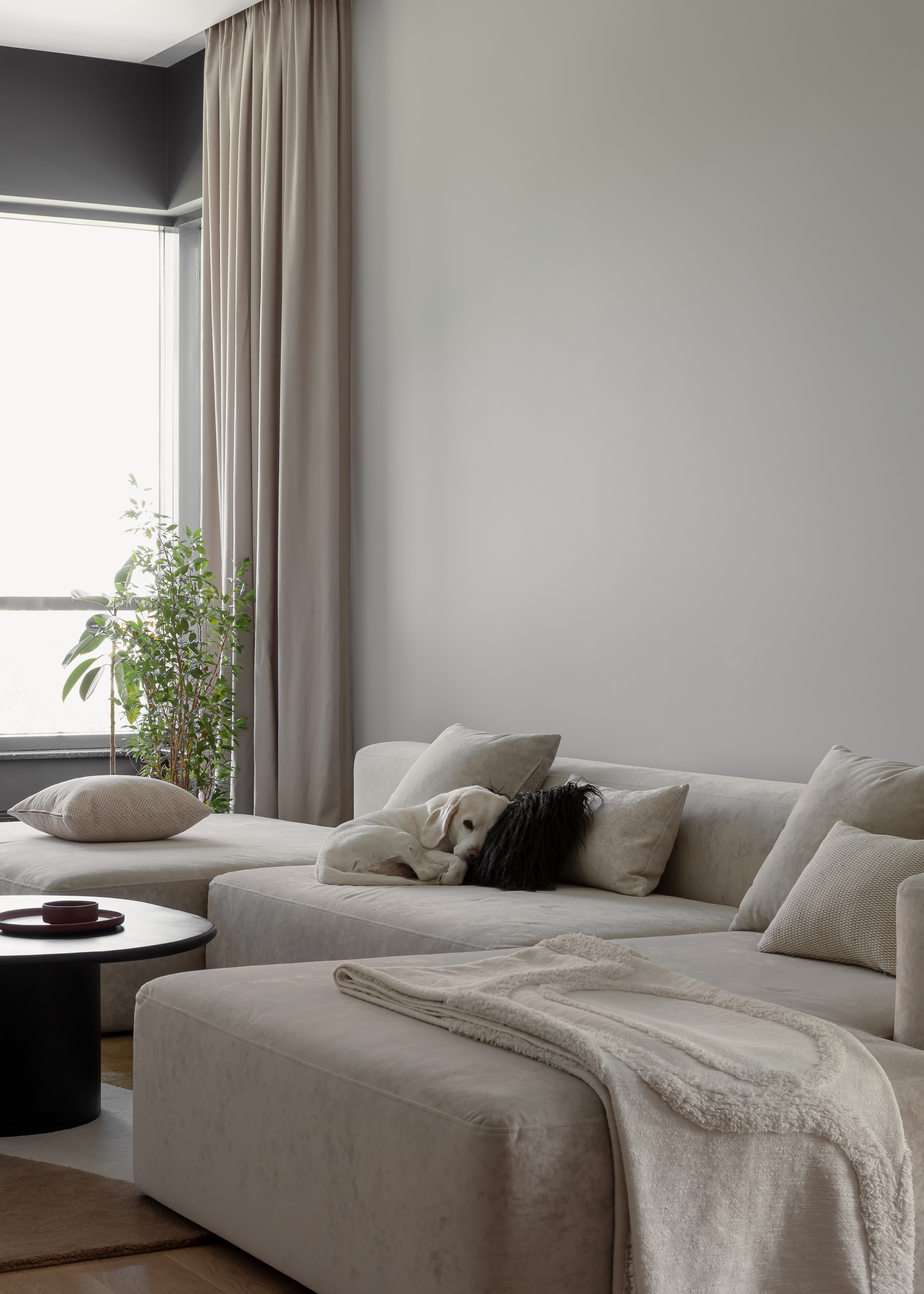 俄罗斯叶卡捷琳住宅 | Qburo-2