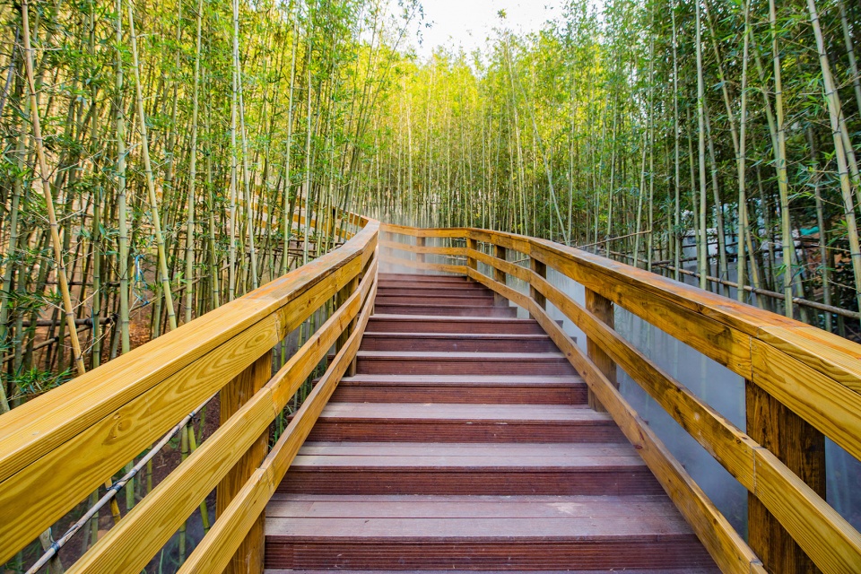 深圳市龙华环城绿道羊台山段丨深圳市蕾奥规划设计咨询股份有限公司-18