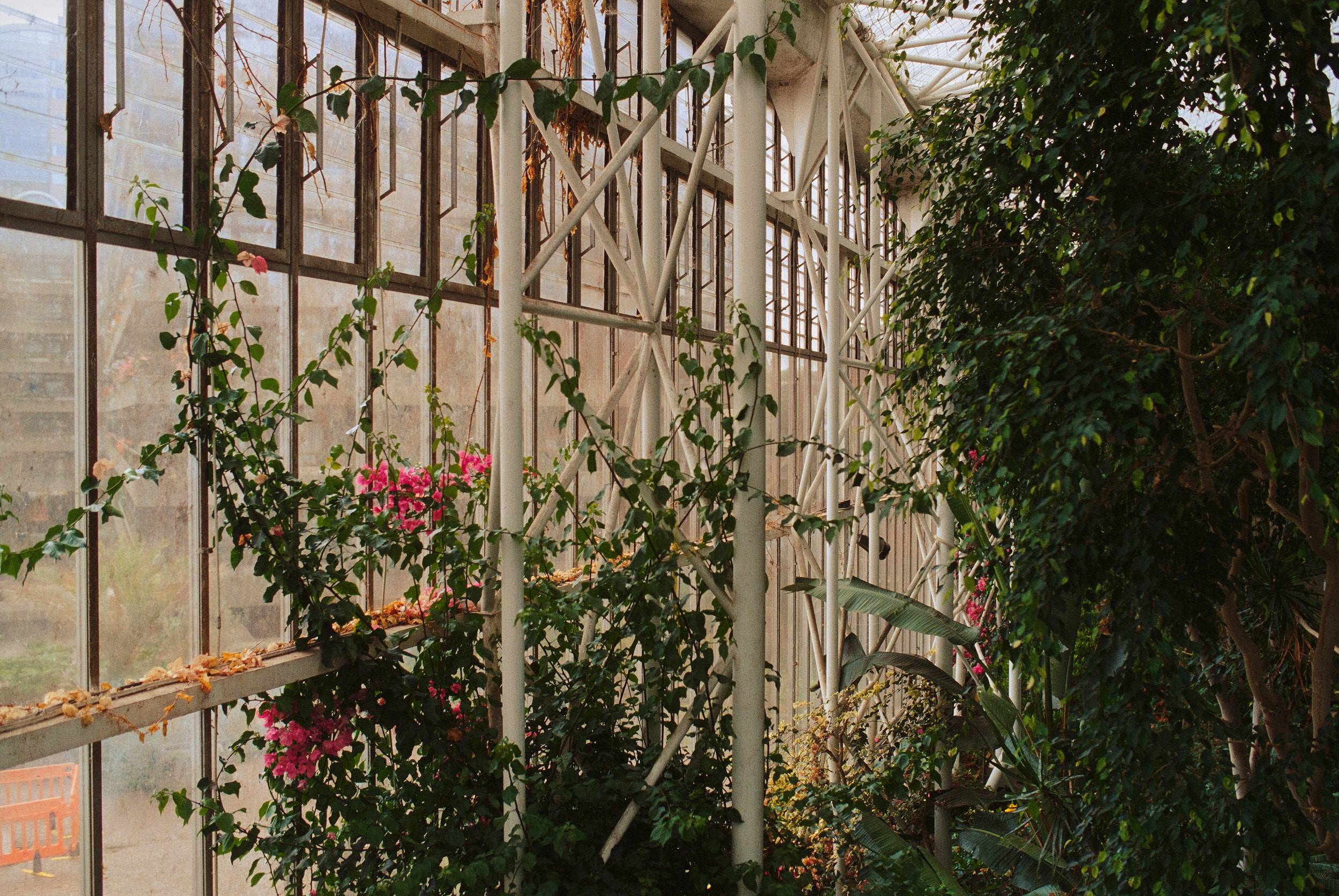 巴比肯温室丨英国伦敦-35