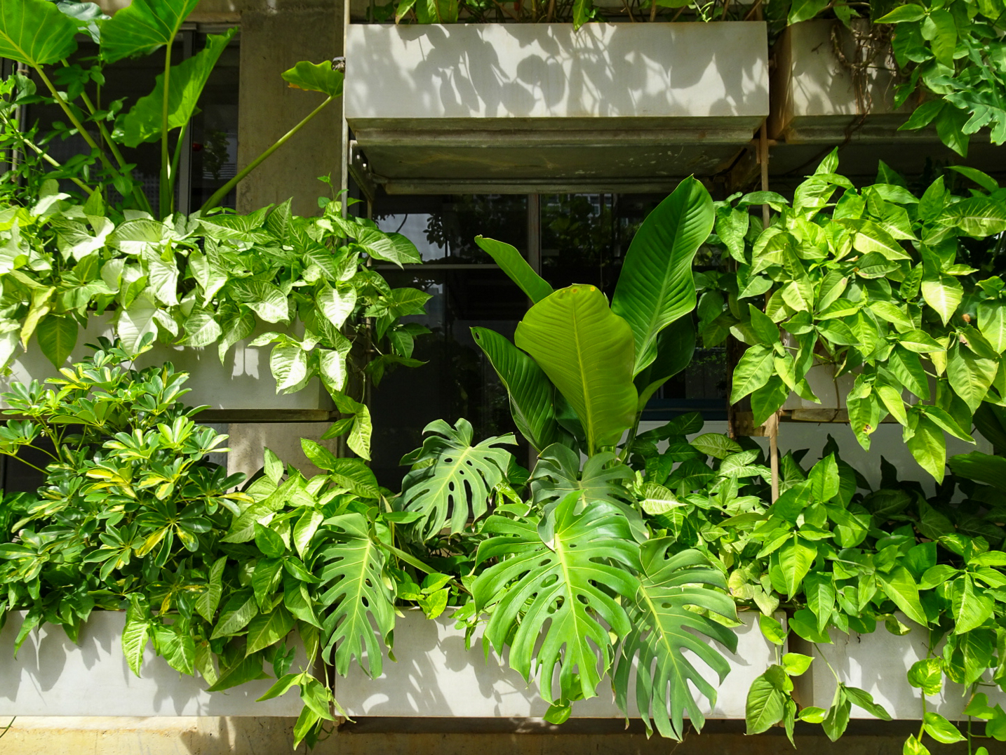 アーバン・ファーミング・オフィス | ベトナム の建築【世界建築巡り】-34